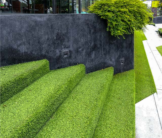 Turf Image