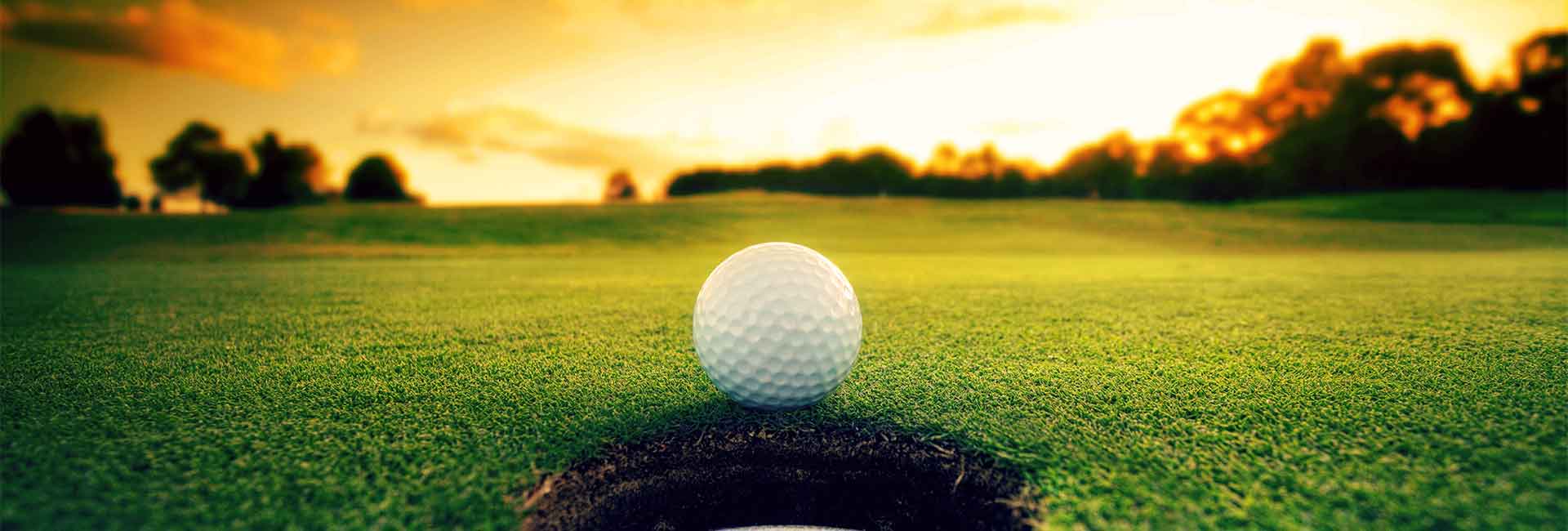 San Diego Artificial Grass Installation, Putting Green Installation and Wholesale Synthetic Turf